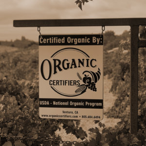 Organic sign at Lytton Springs.